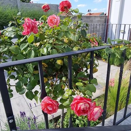 Penzion U Bustiku Sardice Zewnętrze zdjęcie